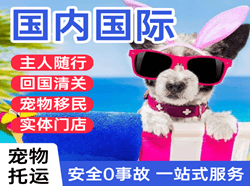 大兴机场快运国际宠物托运 【国
